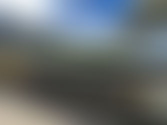 Harrogate Removals - Leeds Rhinos