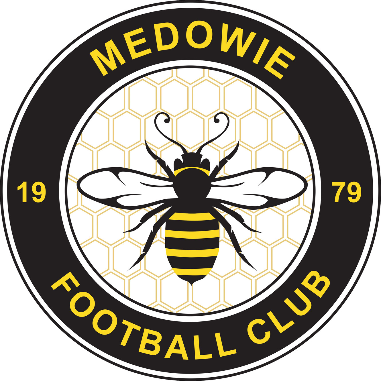 Home Medowie FC