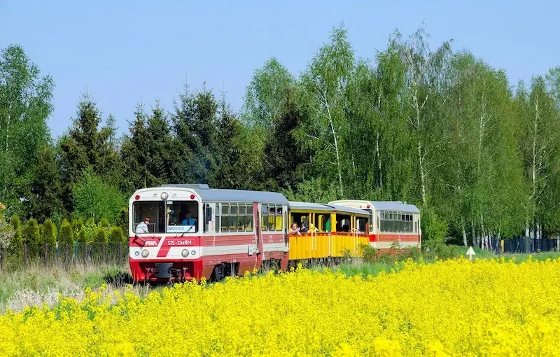 Вузькоколійна залізниця в Жулавах