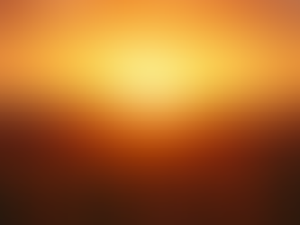 My Ancestry Chapter 14: Unveiling the Legacy of the Star Seed Children