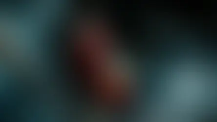 Überprüfung von Autofeuerlöschern im Lichte der polnischen Gesetzgebung – sorgen Sie für Ihre Sicherheit