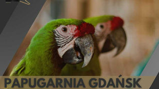 Papugarnia Gdańsk, An exotic adventure in the heart of the city