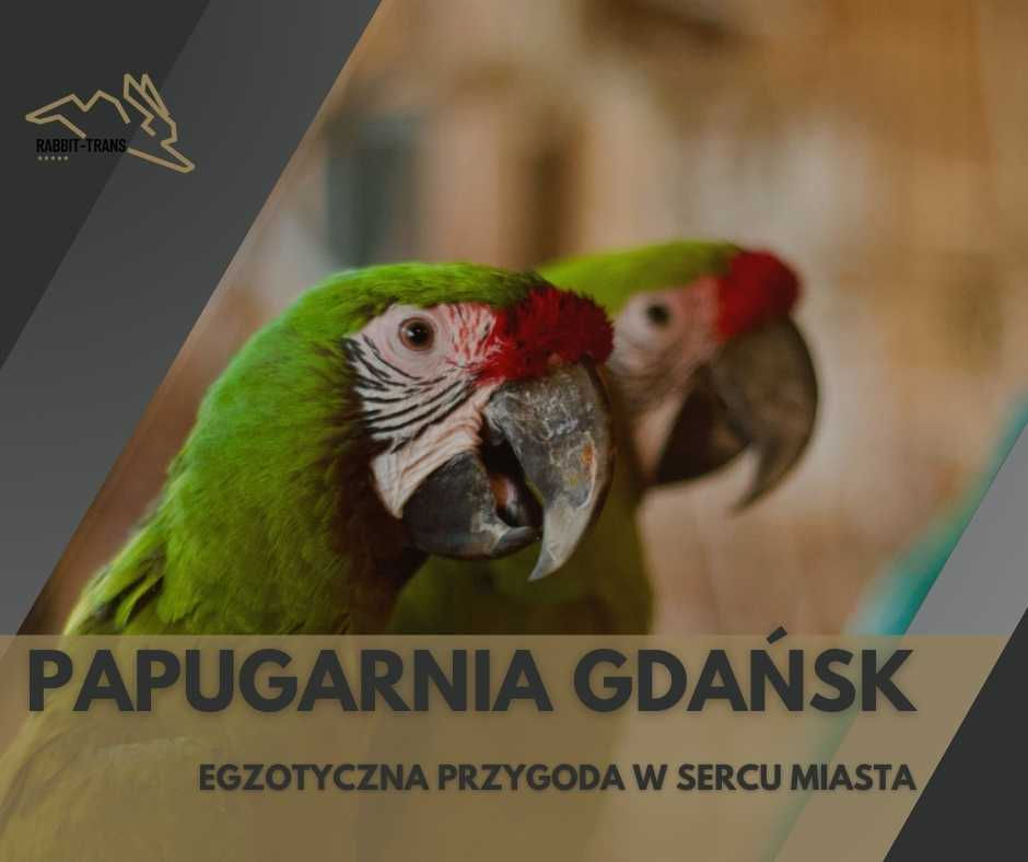 Välkomstbild för en artikel om Papugarnia i Gdańsk, en del av en exotisk värld i centrum av en polsk stad