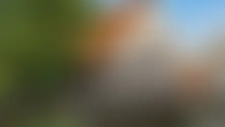 Lejongården i Gdańsk Lipce: Polens äldsta arkader