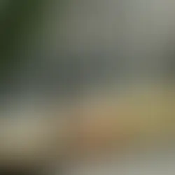 Taxi in Canada: A Guide to Canadian Taxi Services, Companies, and Regulations