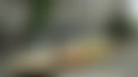 Taxi in Canada: A Guide to Canadian Taxi Services, Companies, and Regulations