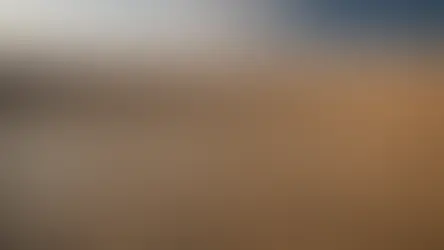 A Personal Story of Noah's Family After the Flood: CH-(5)