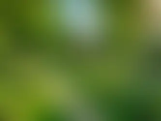 Unraveling the Forbidden Fruit: An Enigmatic Tale of Adam and Eve's Expulsion from Paradise