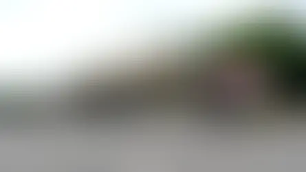 Jak dojechać do Kaliningradu autobusem z Gdańska?: Poradnik