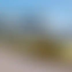 Usługi Taxi w Estonii - wszystko co musisz wiedzieć