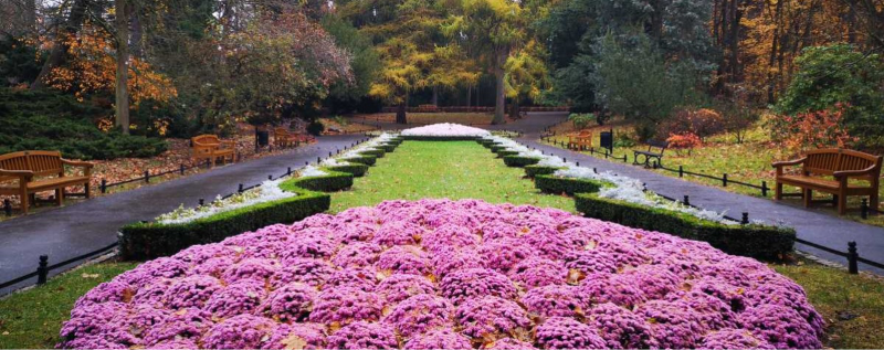 Flower garden in Oliwa Park