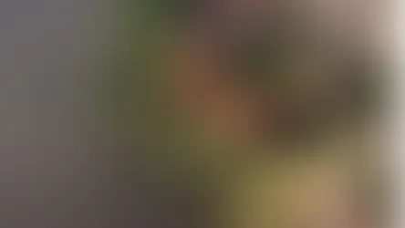 Schloss Sztum – Geschichte, Architektur und Besichtigung des teutonischen Bürgermeistersitzes