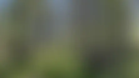 Where to go for a walk in Żukowo and the surrounding area? The most interesting hiking and Nordic walking routes.