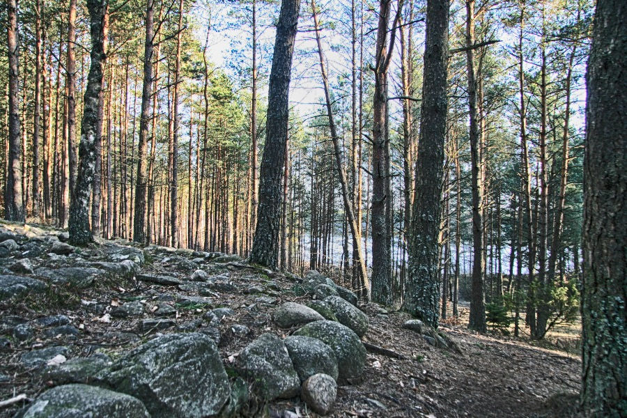 Widok na Kamienne Kręgi