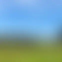 Strusia Farma w Kniewie: Rodzinna Wycieczka