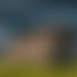 The Enigma of Noah's Descent and the 144,000: Unraveling the Mysteries of an Ancient Prophecy