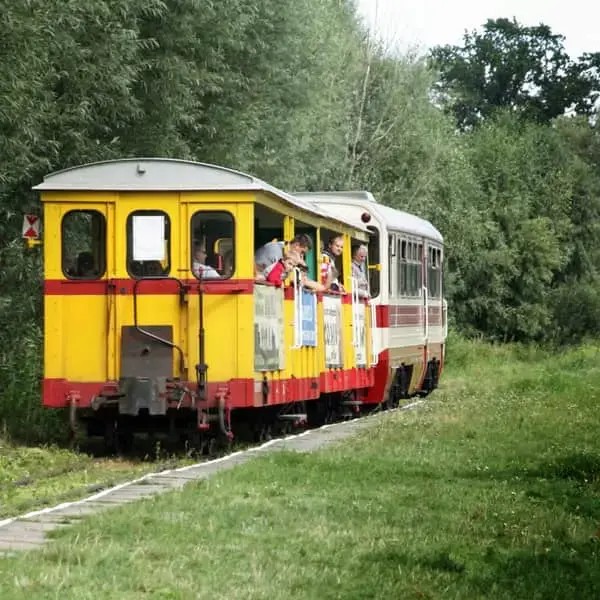 Поїздка на вузькоколійці