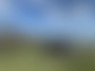 The Seal Hunters' Settlement in Rzucewo: Your Journey to the Stone Age