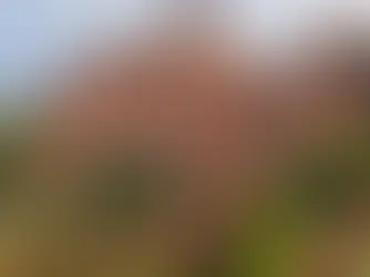 Замок рядом со мной — откройте для себя готические замки вокруг Гданьска