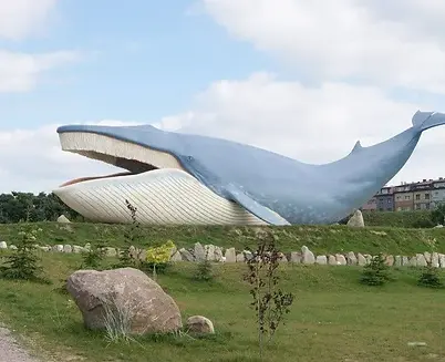 Wycieczki z Gdańska do wieloryb w ocean park władyslawowo.webp