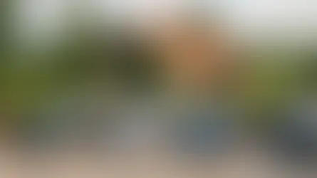 Najlepsze Minivany do Pracy na Taxi
