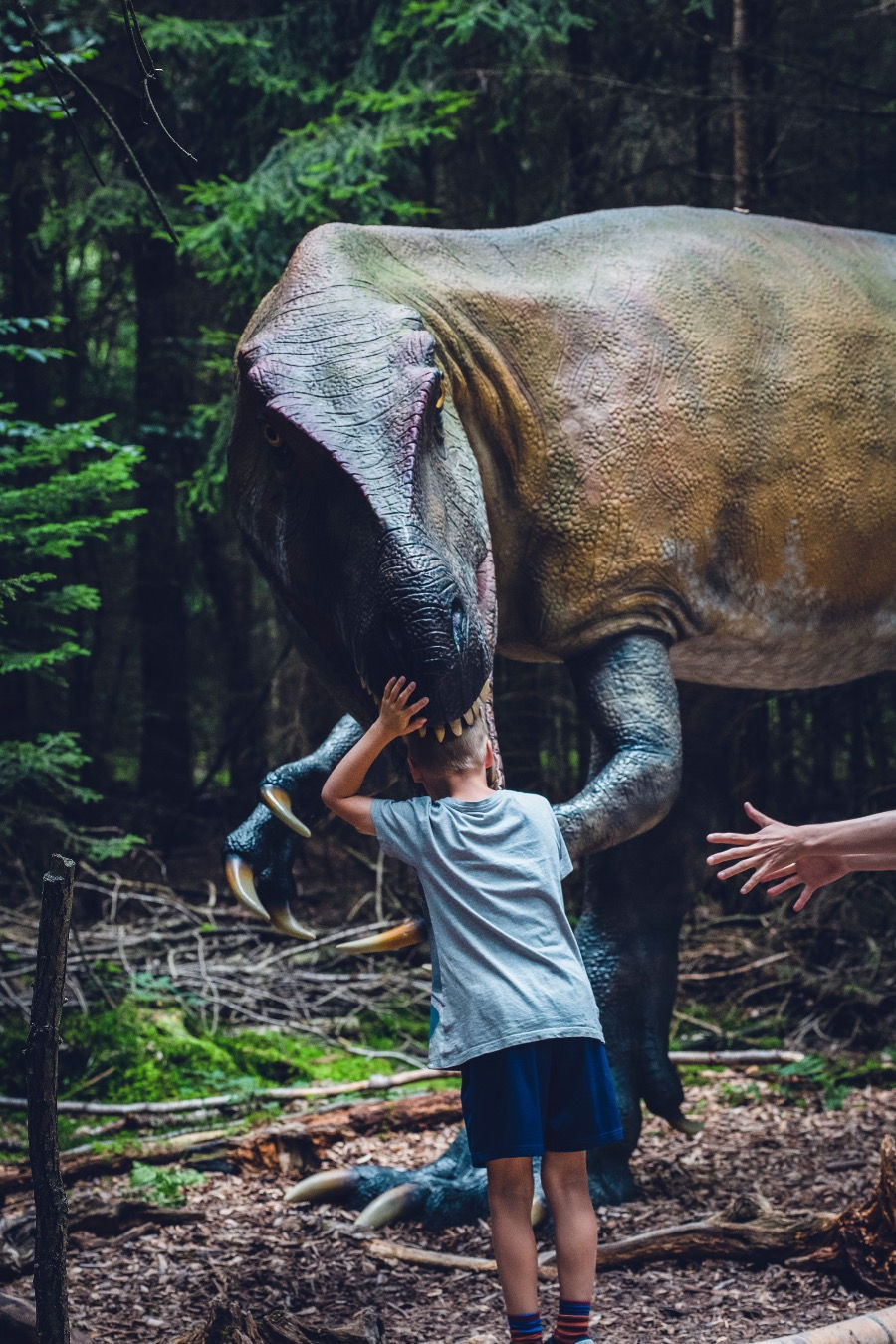 Dziecko wkłada głowę do paszczy sztucznego dinozaura w Łebie