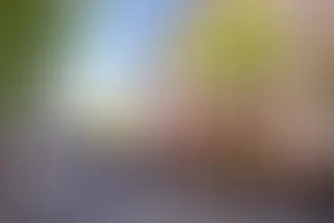 How to get from Gdańsk to Sopot? Guide