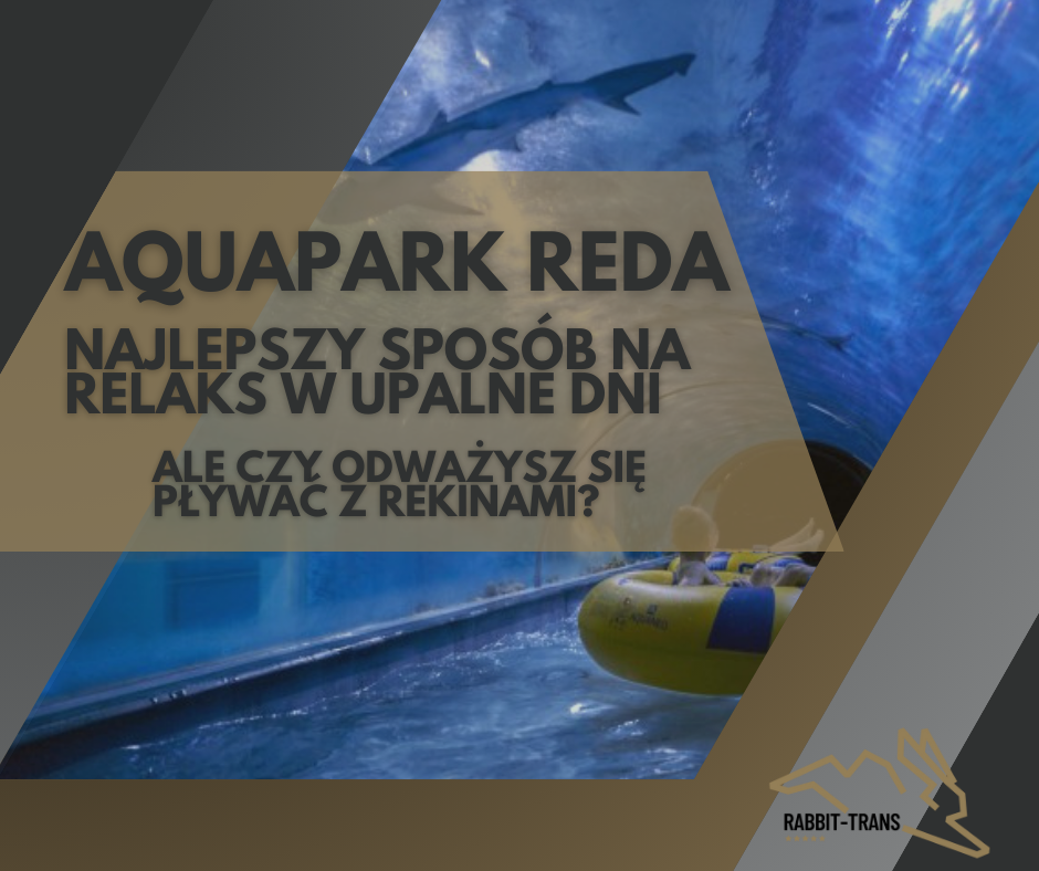 Tittelkunstverk. Inskripsjon: Aquapark Reda - den beste måten å slappe av på varme dager. Men tør du å svømme med haier? og et akvarium med haier er synlig i bakgrunnen.