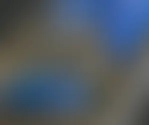 Aquapark Reda - najlepszy sposób na relaks w upalne dni. Ale czy odważysz się pływać z rekinami?