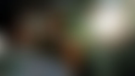 Jak powinny świecić światła mijania: zasady, regulacja i konsekwencje