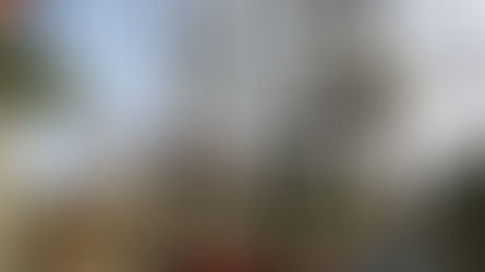 Kolibki Adventure Park Gdynia – atrakcje, oferta i praktyczne informacje dla odwiedzających