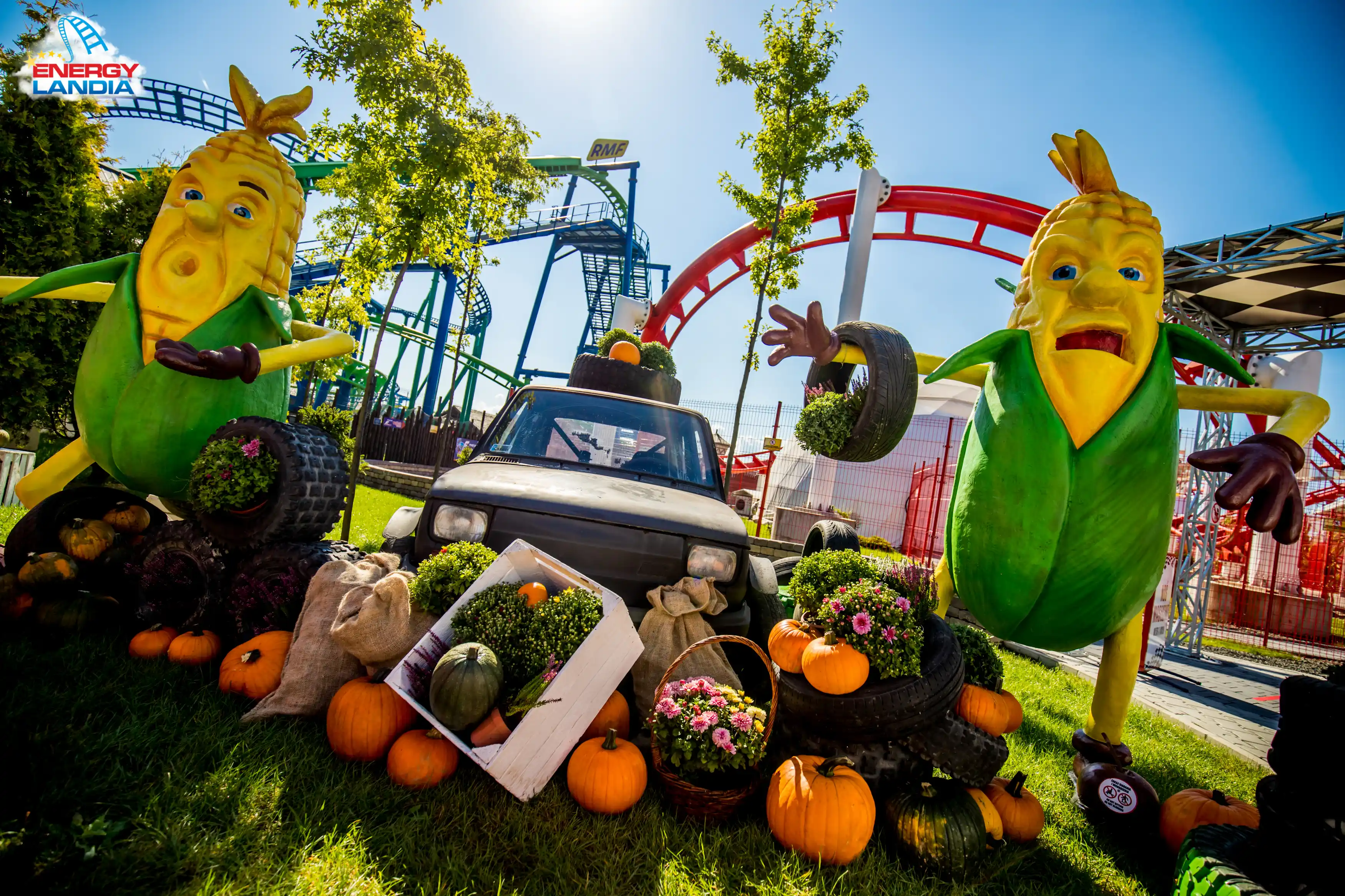 Post | Rabbit-Trans Poland