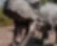 Dinozaur w Parku dinozaurów w Nowecinie koło Łeby