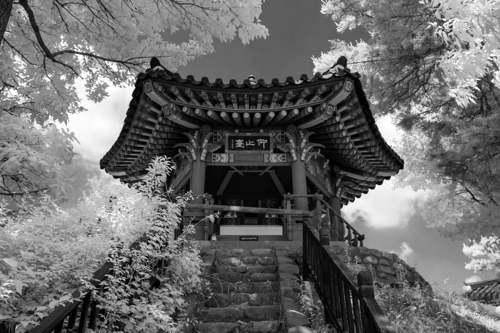 DSCF1459 복사 복사본