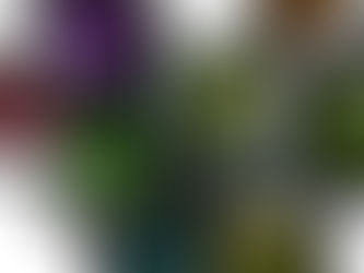 밝은 렌즈가 좋다 ?