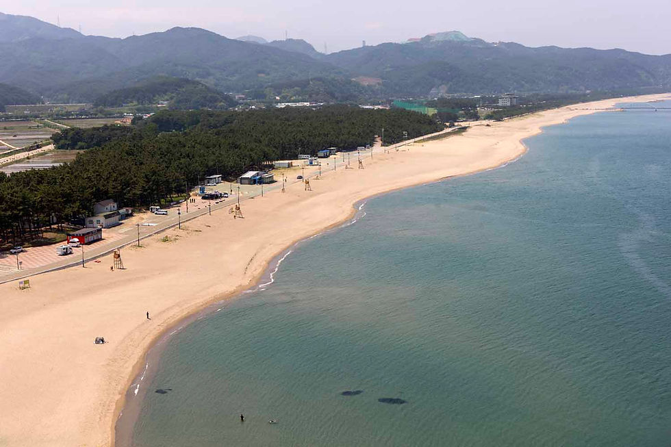 맹방 해수욕장