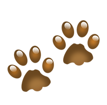 paw prints vector_edited.png