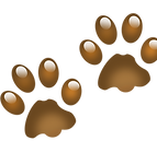 paw prints vector_edited.png
