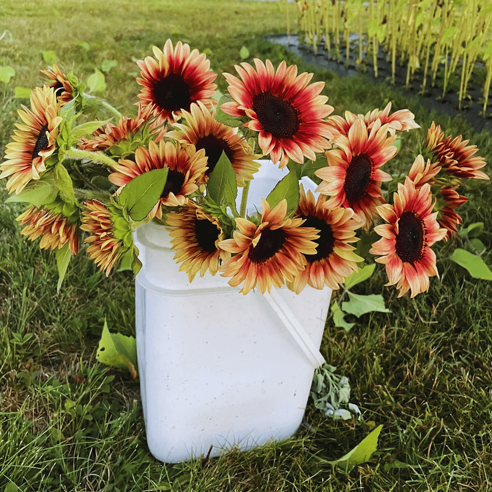 Thumbnail: Bulk Flower Buckets - Assorted