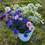 Thumbnail: Bulk Flower Buckets - Assorted