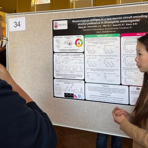 Megan Wang presenting her undergraduate honors thesis poster