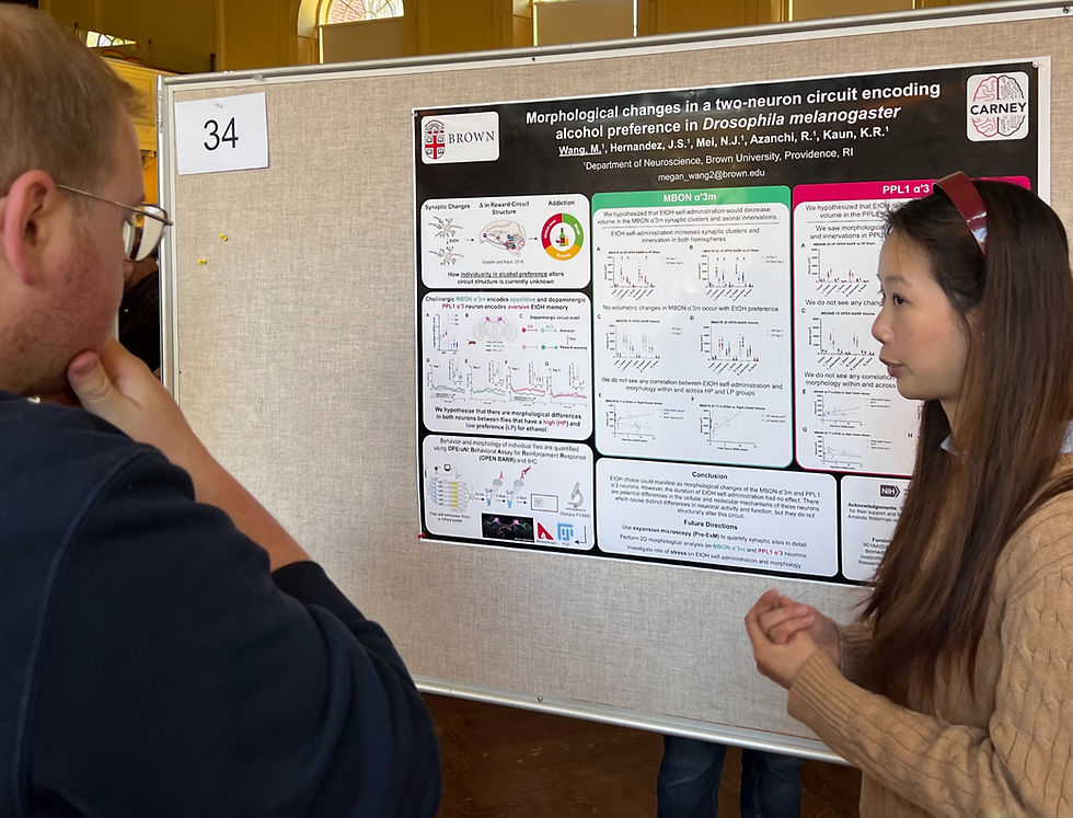 Megan Wang presenting her undergraduate honors thesis poster