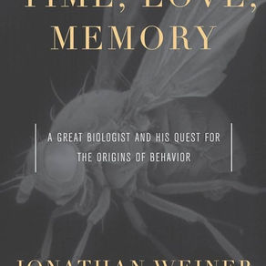 What are the origins of the field of Drosophila behavior?