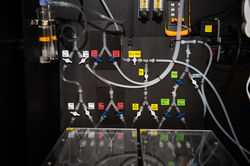 Odor Memory Conditioning Apparatus Kaun Lab