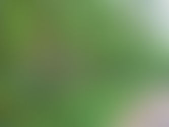 帯広の森の本家は家の近くです