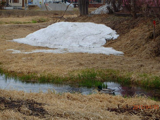 近くの機関庫川