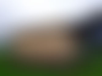 5年前MさんのBritish Pab