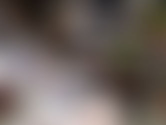 今夜が最後の夜です