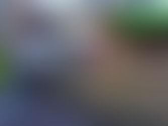 本屋さん入口前のカラス