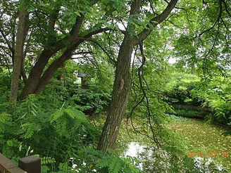 素敵なところです